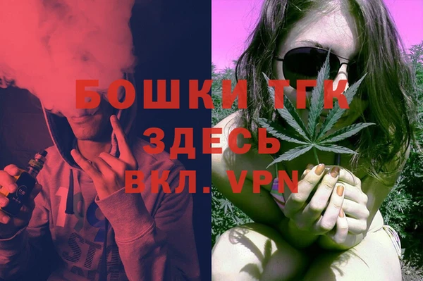 не бодяженный Горно-Алтайск