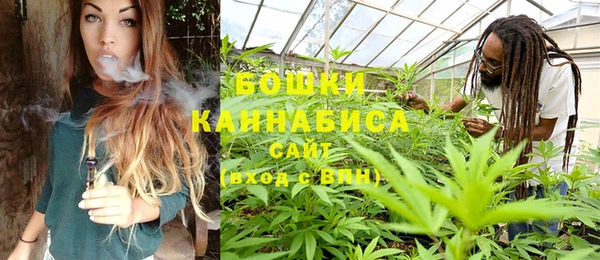 прущая мука Гусев