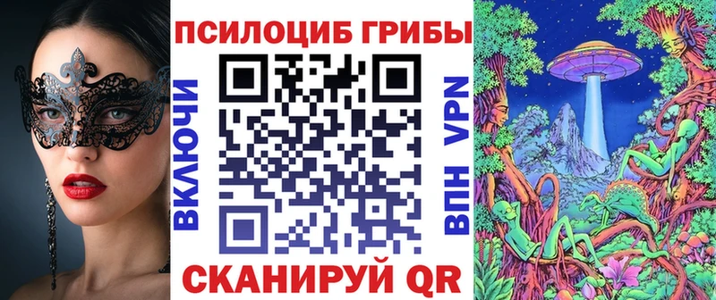 наркошоп  omg   Галлюциногенные грибы прущие грибы  Тетюши 